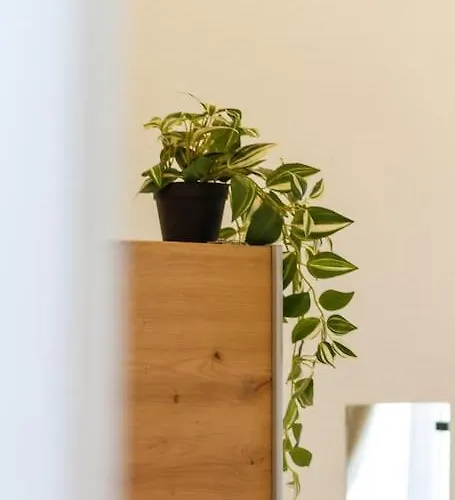 Opera 3br W Sauna By Newave Apartmán Budapešť